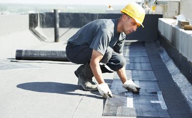 Soffit Replacement in North Richland Hills, Roof Leak Detection in North Richland Hills, Emergency Roof Leak Repair in North Richland Hills, Roof Leak Repair Services in North Richland Hills, Flat Roof Repair in North Richland Hills, Skylight Repair in North Richland Hills, Repair Roof Shingle in North Richland Hills, Water Damage Repair in North Richland Hills, Best Roof Leak Fixes in North Richland Hills, Roof Flashing Repair in North Richland Hills, Roof Valley Repair in North Richland Hills, Removing Moss on Roof in North Richland Hills, Roof Buckling in North Richland Hills, Roof Vent Boot Repair in North Richland Hills, Sagging Roof Repair in North Richland Hills, Roof Blistering in North Richland Hills, Ice Dam Prevention in North Richland Hills, Attic Insulation in North Richland Hills, Roof Decking in North Richland Hills, Roof Sheathing in North Richland Hills, Hail Proof Roof in North Richland Hills, Chimney Flashing Repair in North Richland Hills, Emergency Roof Tarping in North Richland Hills, Repairing roofing felt in North Richland Hills Soffit Replacement in North Richland Hills, Roof Leak Detection in North Richland Hills, Emergency Roof Leak Repair in North Richland Hills, Roof Leak Repair Services in North Richland Hills, Flat Roof Repair in North Richland Hills, Skylight Repair in North Richland Hills, Repair Roof Shingle in North Richland Hills, Water Damage Repair in North Richland Hills, Best Roof Leak Fixes in North Richland Hills, Roof Flashing Repair in North Richland Hills, Roof Valley Repair in North Richland Hills, Removing Moss on Roof in North Richland Hills, Roof Buckling in North Richland Hills, Roof Vent Boot Repair in North Richland Hills, Sagging Roof Repair in North Richland Hills, Roof Blistering in North Richland Hills, Ice Dam Prevention in North Richland Hills, Attic Insulation in North Richland Hills, Roof Decking in North Richland Hills, Roof Sheathing in North Richland Hills, Hail Proof Roof in North Richland Hills, Chimney Flashing Repair in North Richland Hills, Emergency Roof Tarping in North Richland Hills, Repairing roofing felt in North Richland Hills